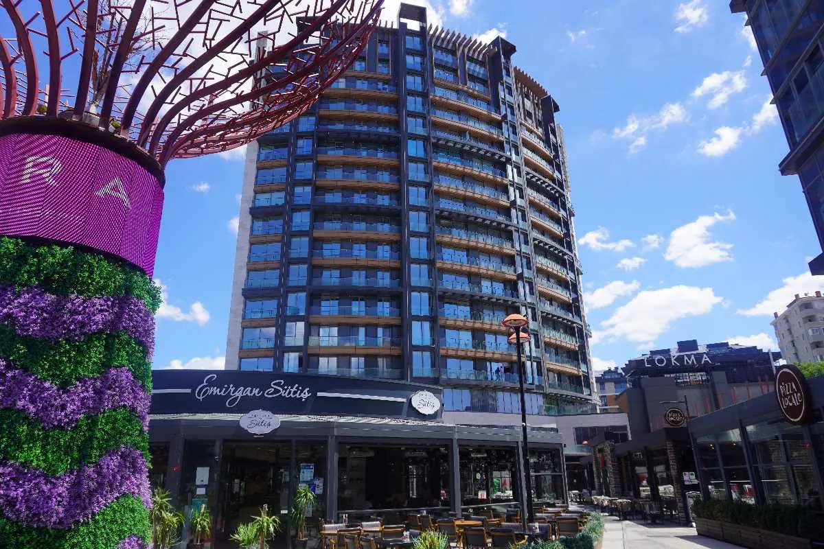Elysium Elit Investment