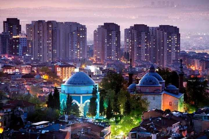 bursa
